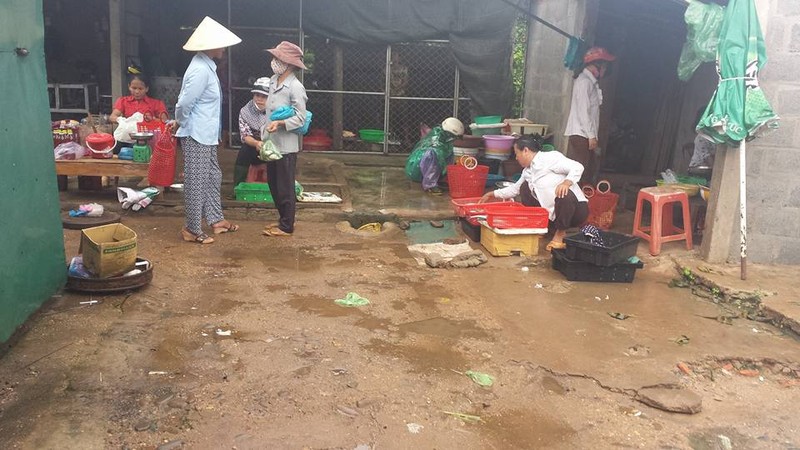 Tham canh cho ca e am, bai bien khong bong nguoi o Quang Tri-Hinh-2